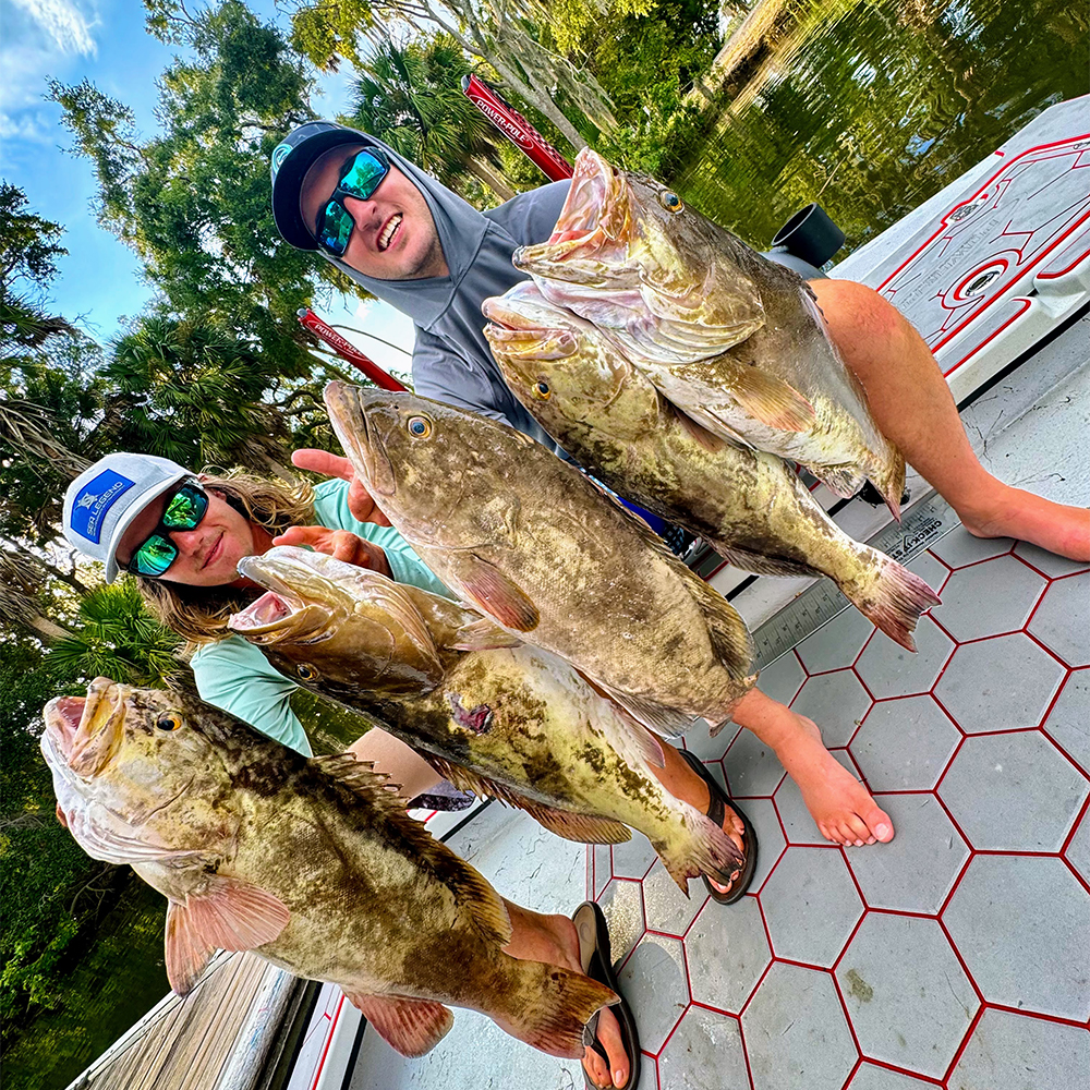 Nearshore Charter