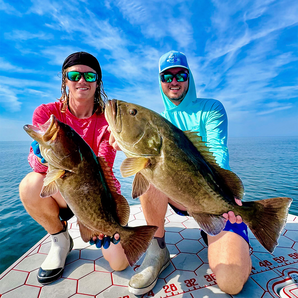 Gag Grouper