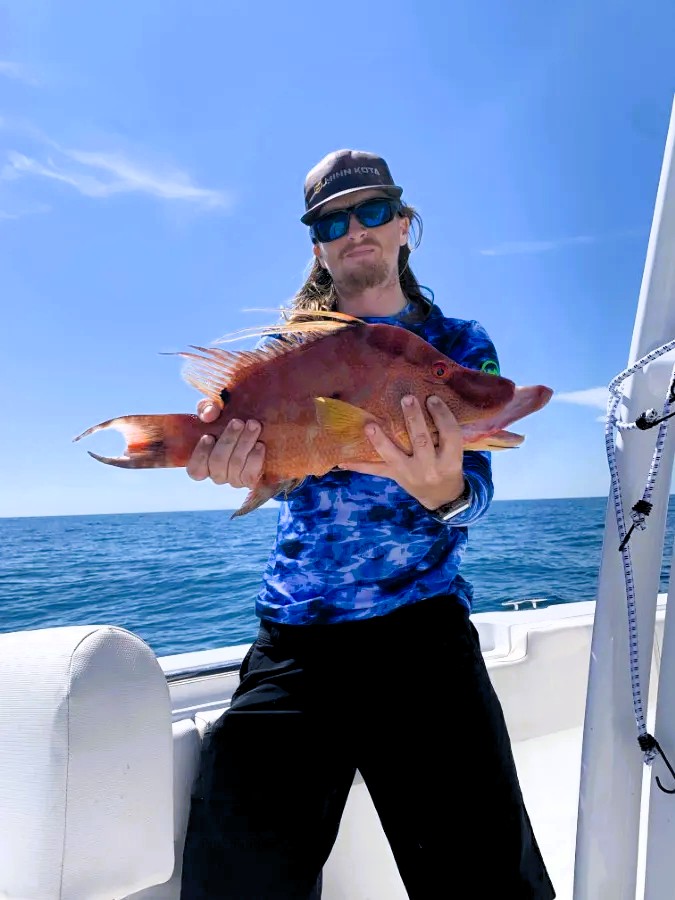 Red Grouper