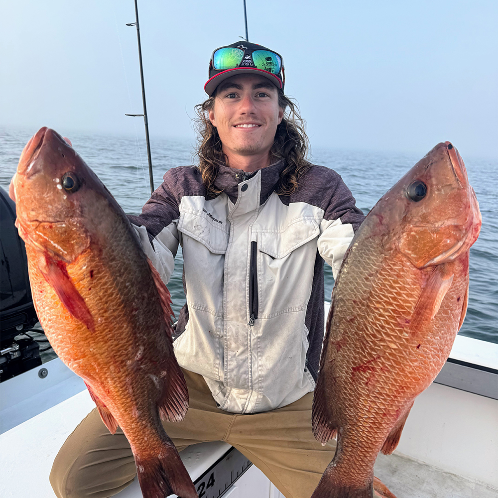 Mangrove Snapper
