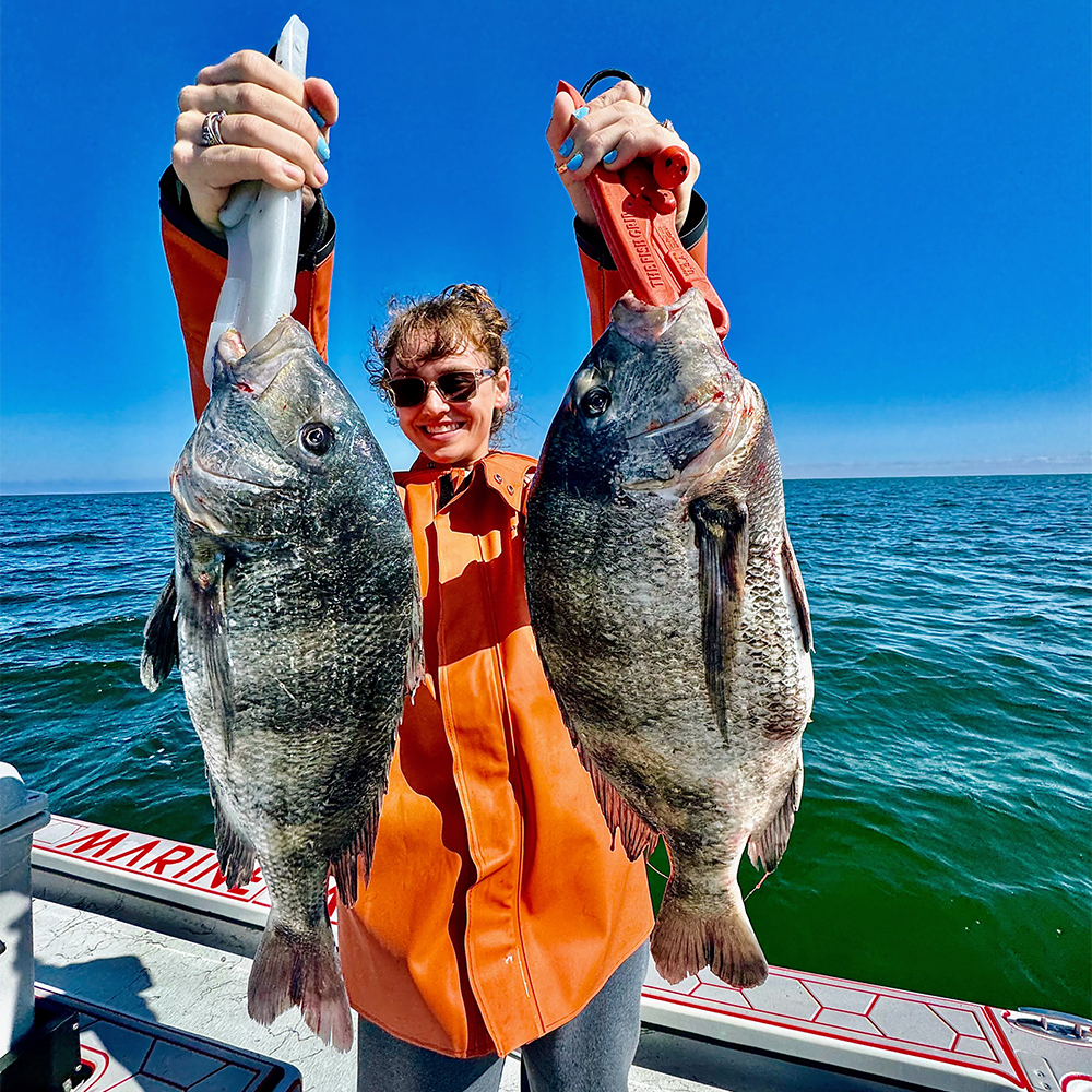 Sheepshead